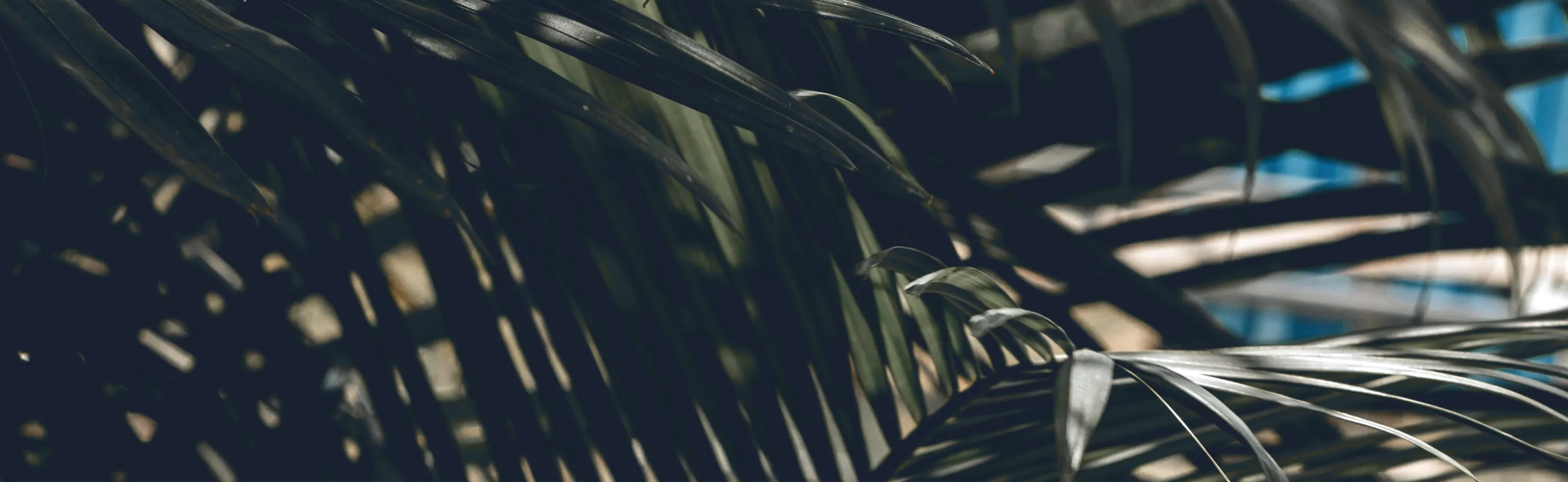Brands & identities