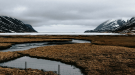 Paysage