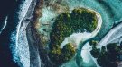 Île sauvage