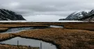 Plaine marécageuse aux herbes rousses, ruisseaux et clôture, entre des montagnes enneigées sous un ciel gris