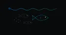 Banc de poissons argentés dans l’eau sombre au-dessus du fond marin
