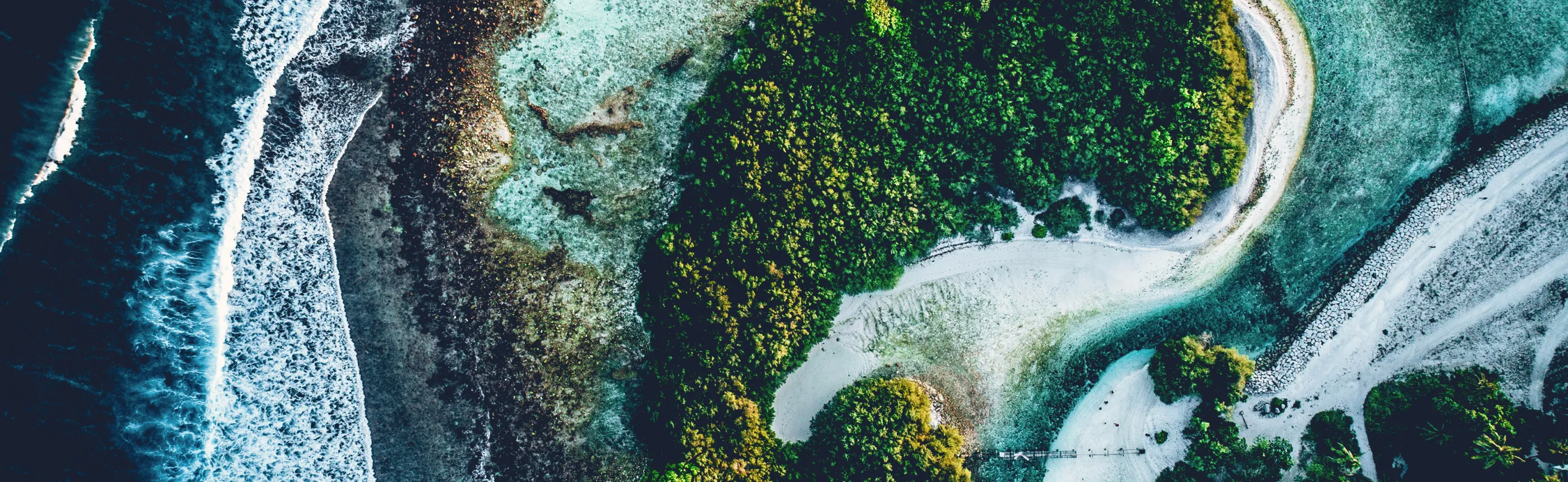 Une île sauvage